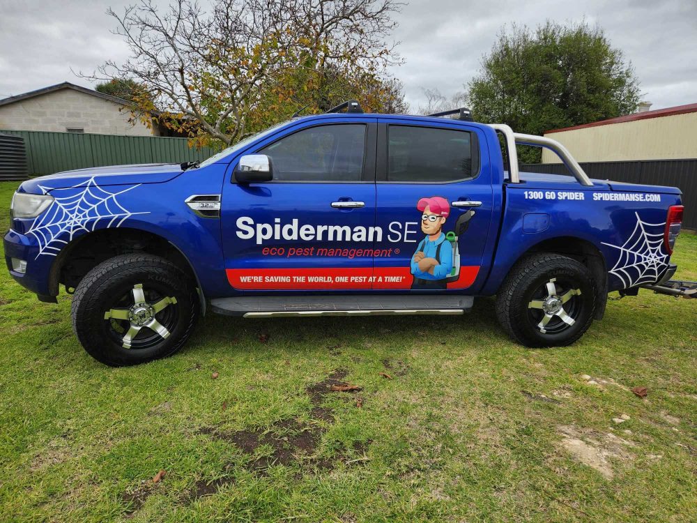 Graphic design signage vehicle