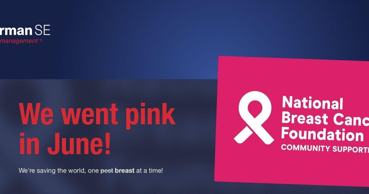 Quisk Design Campaign Success | Brand Development Adelaide | Quisk Design